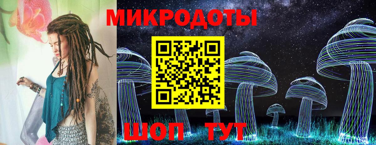 Псилоцибиновые грибы Psilocybine cubensis Верхняя Салда